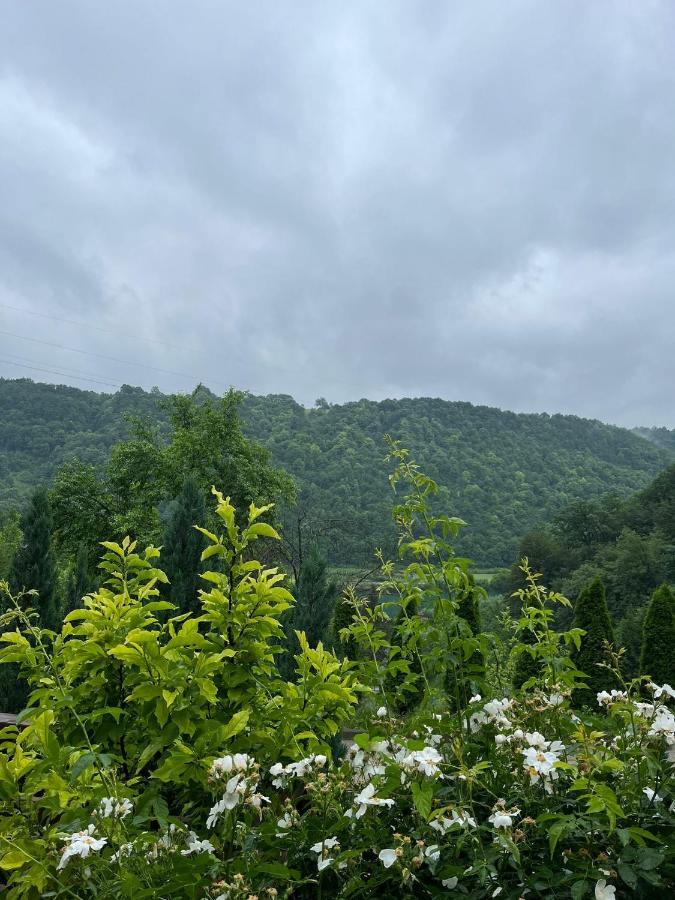 Villa Nature Bihać Dış mekan fotoğraf