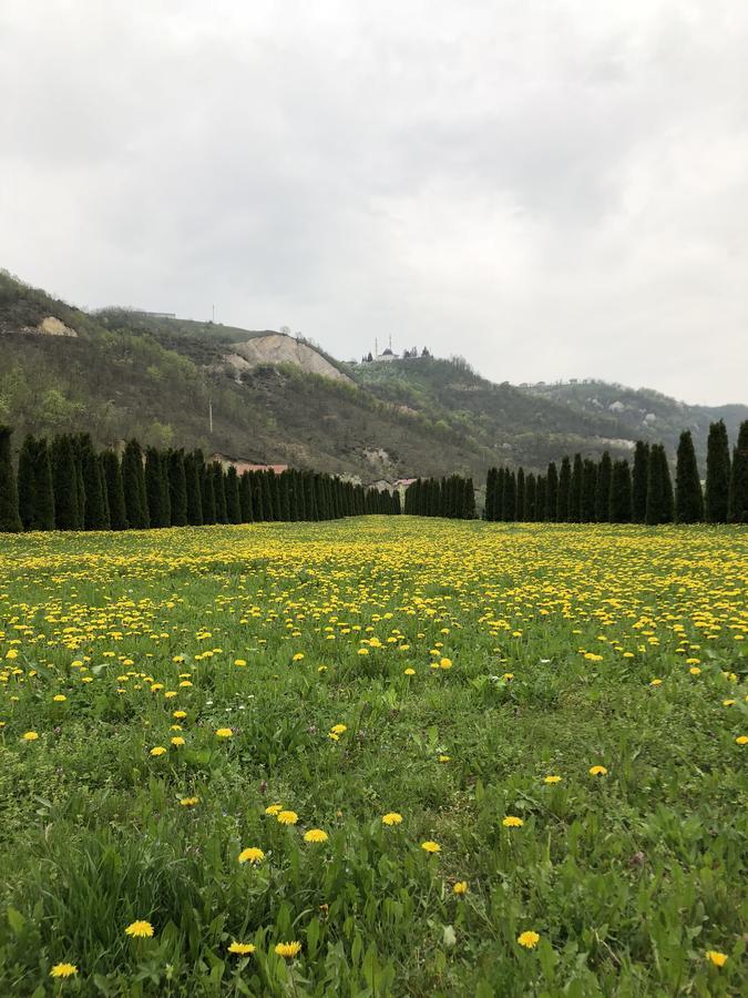 Villa Nature Bihać Dış mekan fotoğraf